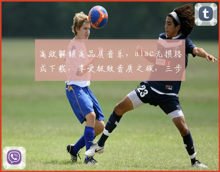 高效解锁高品质音乐，alac无损格式下载，享受极致音质之旅，三步轻松获取