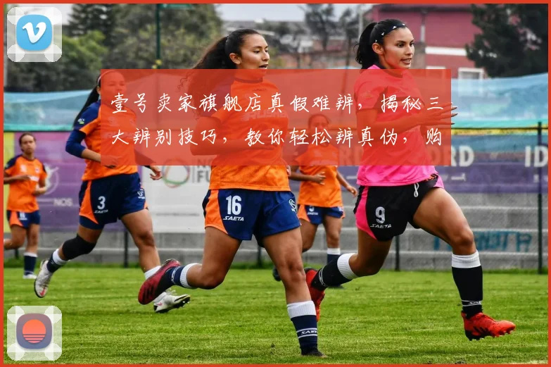 壹号卖家旗舰店真假难辨，揭秘三大辨别技巧，教你轻松辨真伪，购物无忧